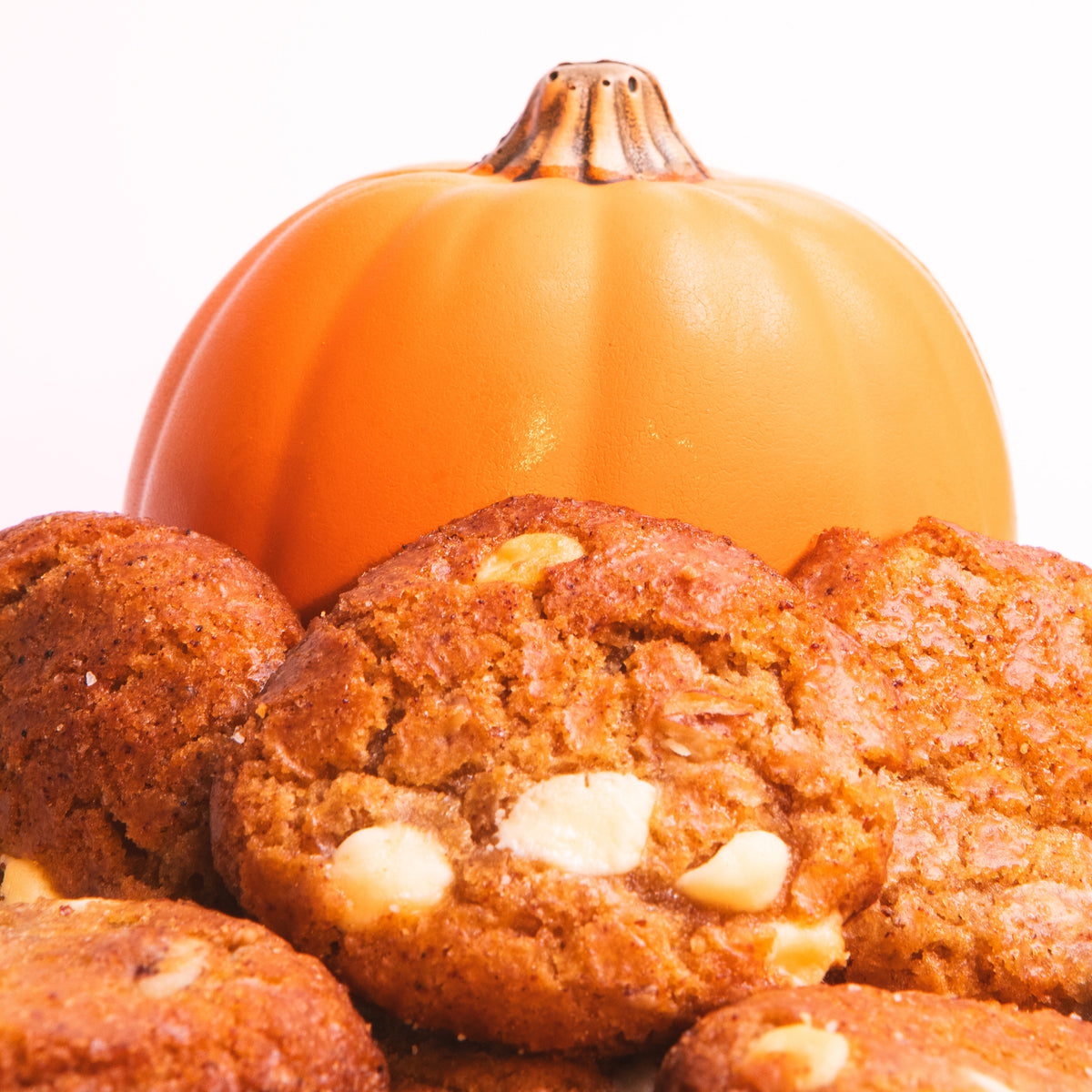 Pumpkin Spice 12 pack